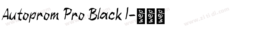Autoprom Pro Black I字体转换